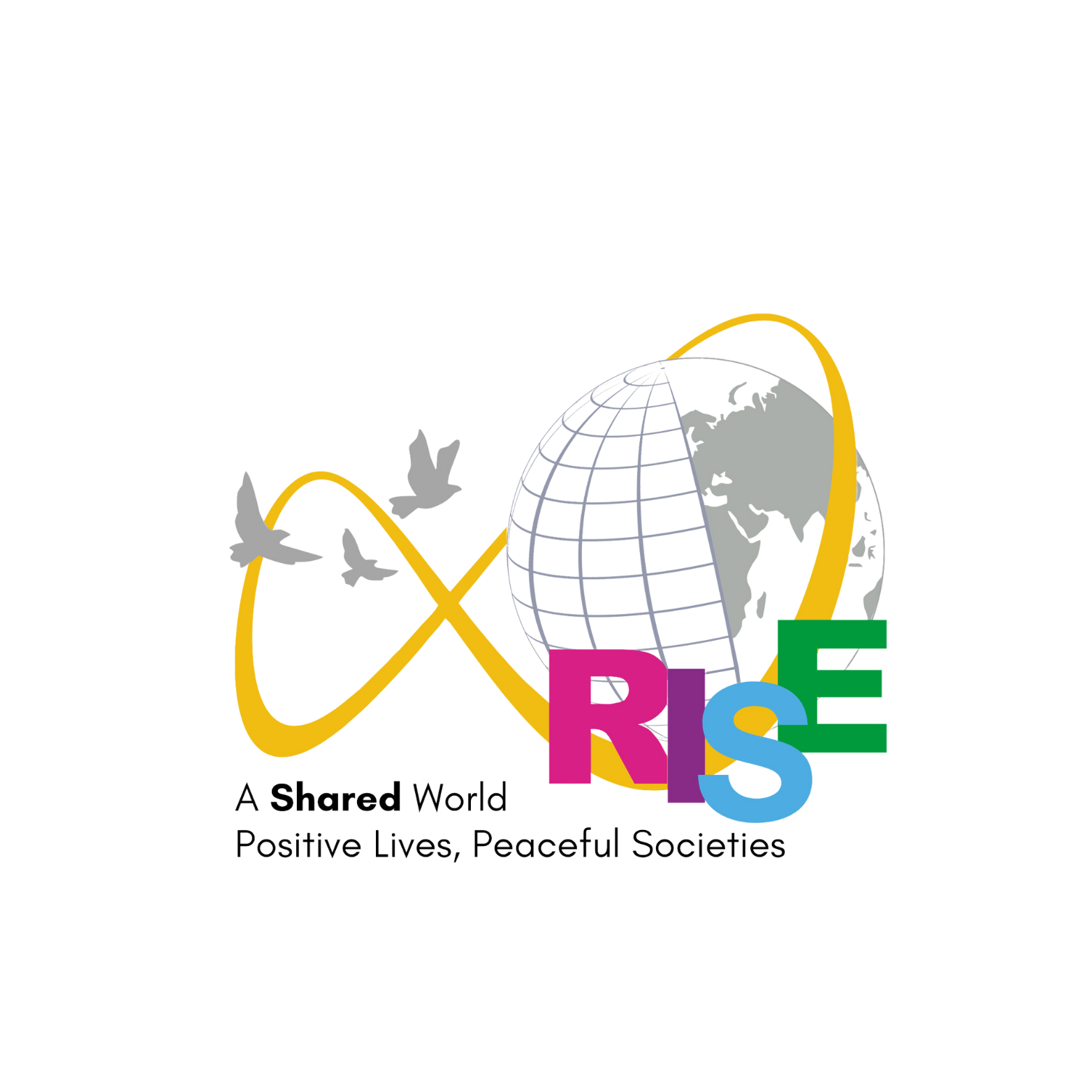 RISE Infinity Foundation logo